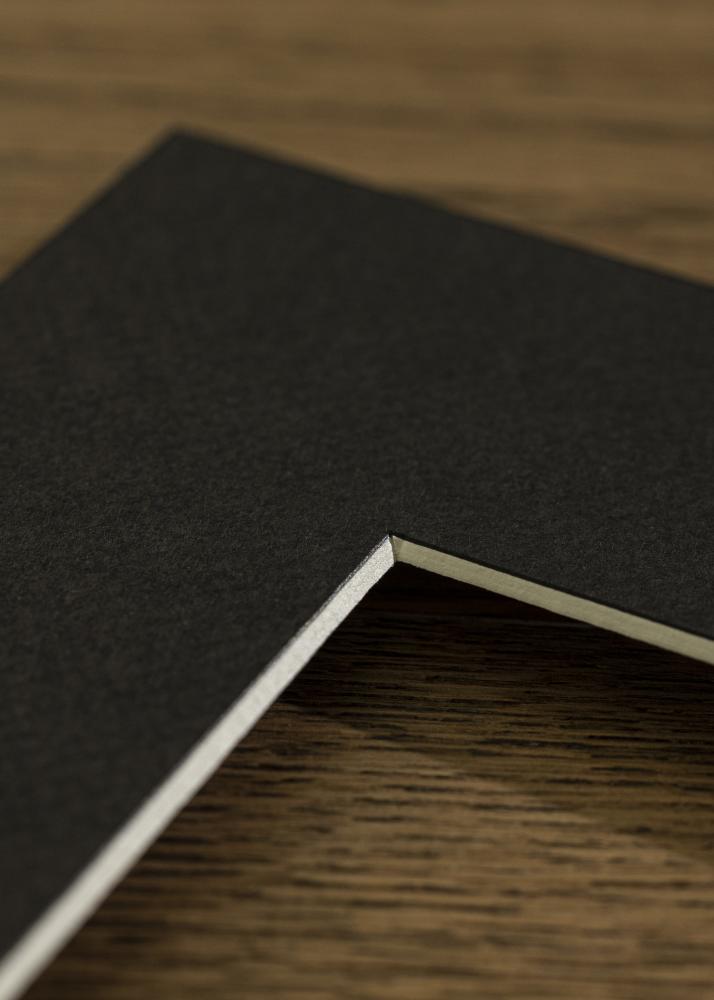 Galleri 1 Passe-partout Zwart 25x50 cm - Collage 3 Foto's (12x17 cm)