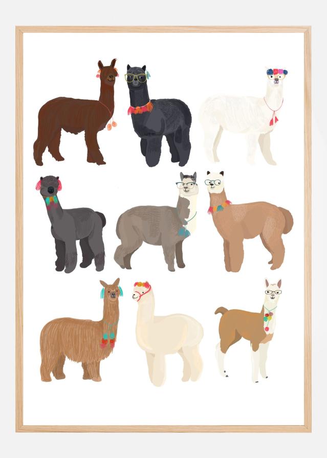 Bildverkstad Standing Lamas In Glasses Poster