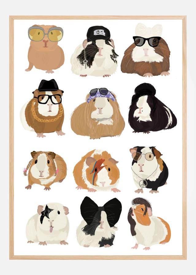 Bildverkstad Music Guineapig Poster