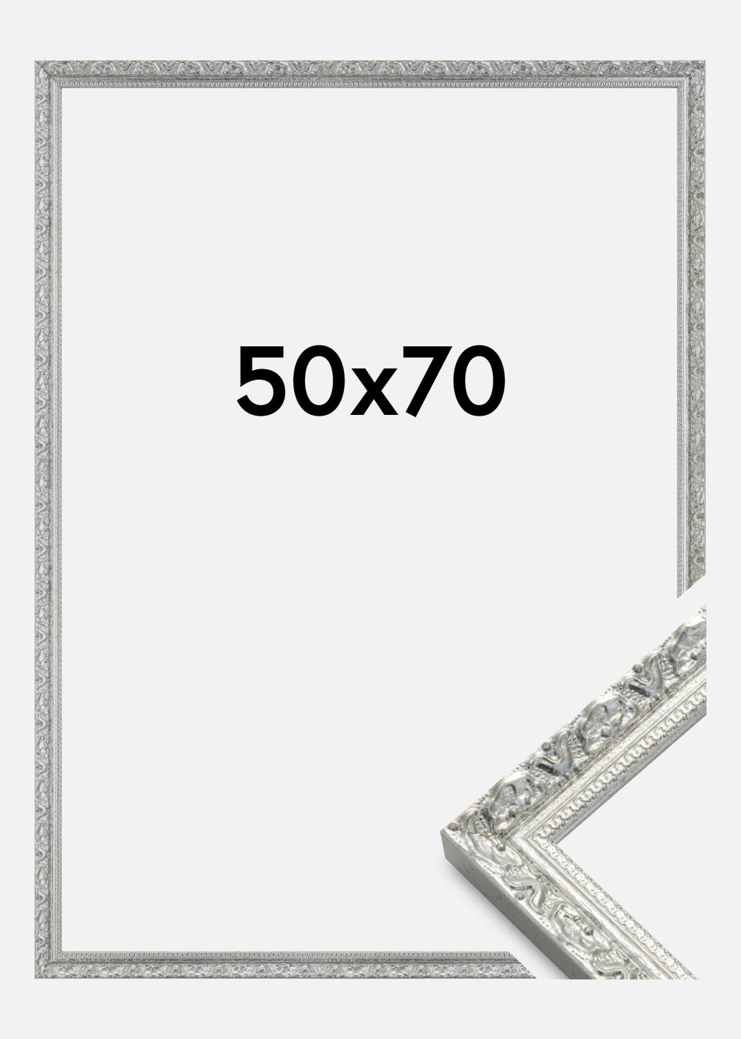 Product Image for Kader Smith Zilver 50x70 cm