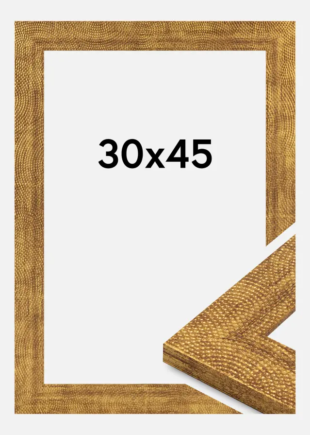 Jämtlands Ramfabrik Kader Linea Acrylglas Goud 30x45 cm