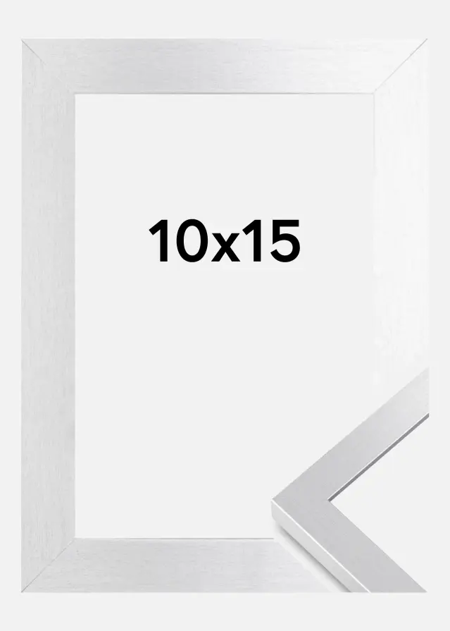 Artlink Kader Selection Acrylglas Zilver 10x15 cm