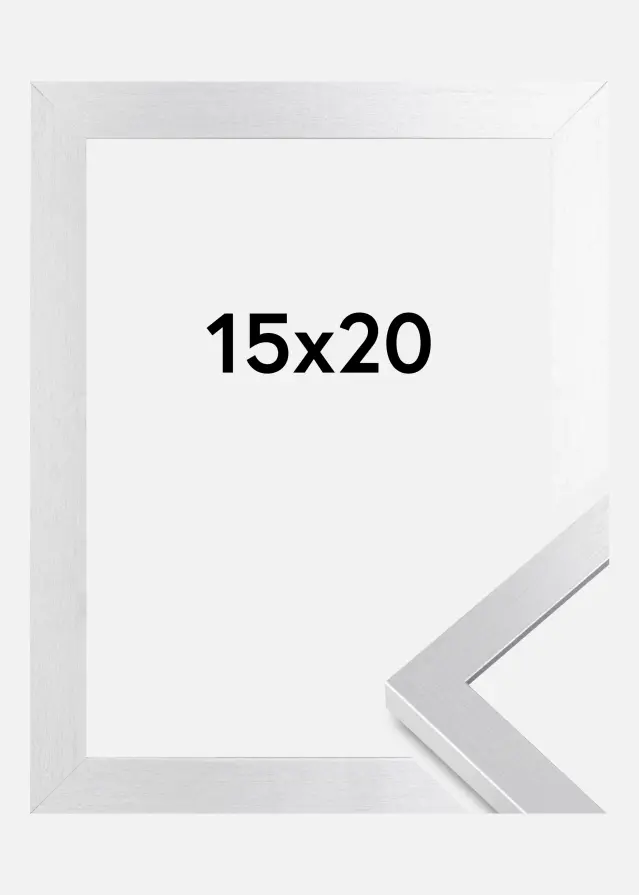 BGA Kader Selection Acrylglas Zilver 15x20 cm