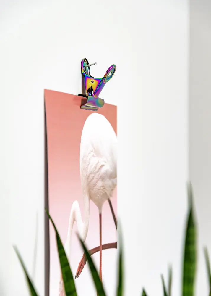 KAILA KAILA Poster Clip Rainbow 40 mm - 4-p