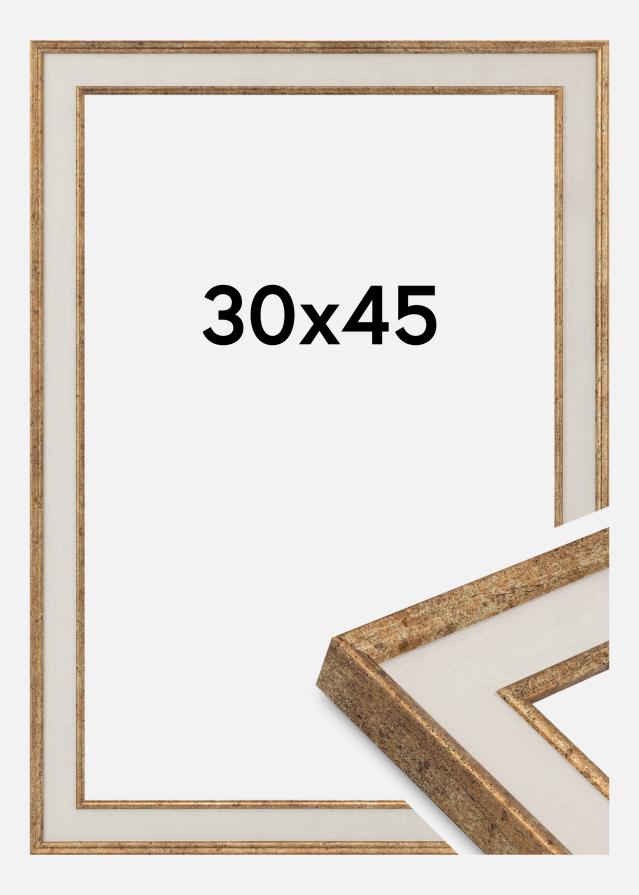Jämtlands Ramfabrik Kader Dolly Acrylglas Goud 30x45 cm
