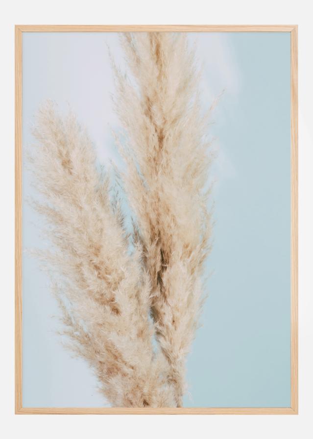 Bildverkstad Pampas Grass Blue Poster