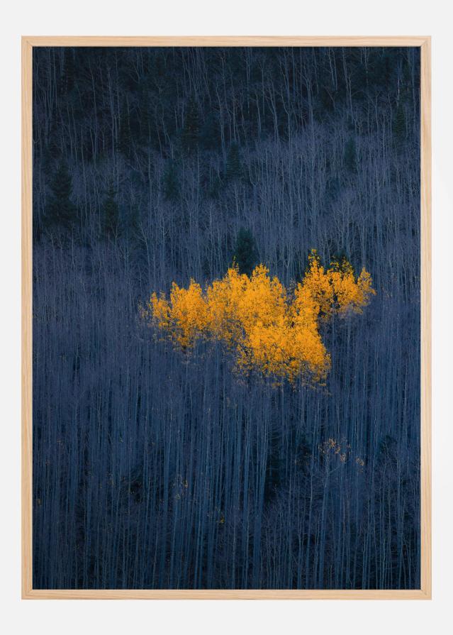 Bildverkstad Heart of Aspens Poster