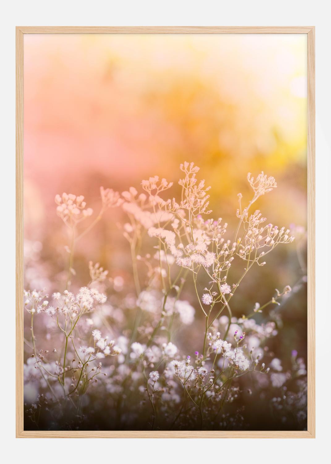 Product Image for A Beautiful Summer Evening Poster (30x40 cm)
