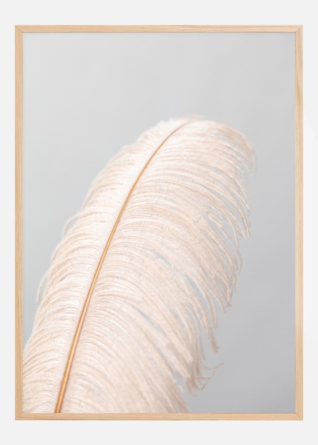 Bildverkstad Feather I Poster