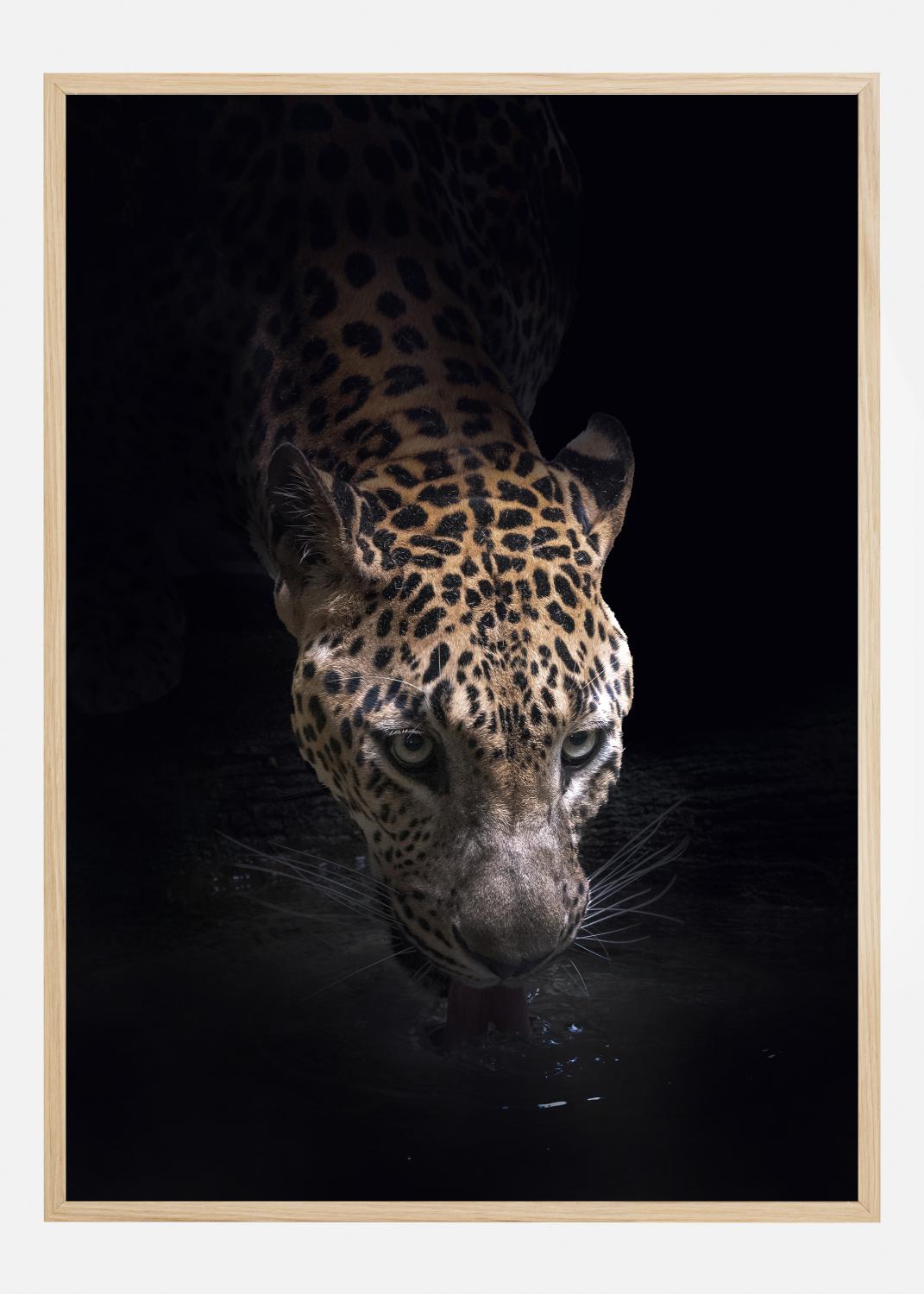 Product Image for Drinking Poster (21x29.7 cm (A4))
