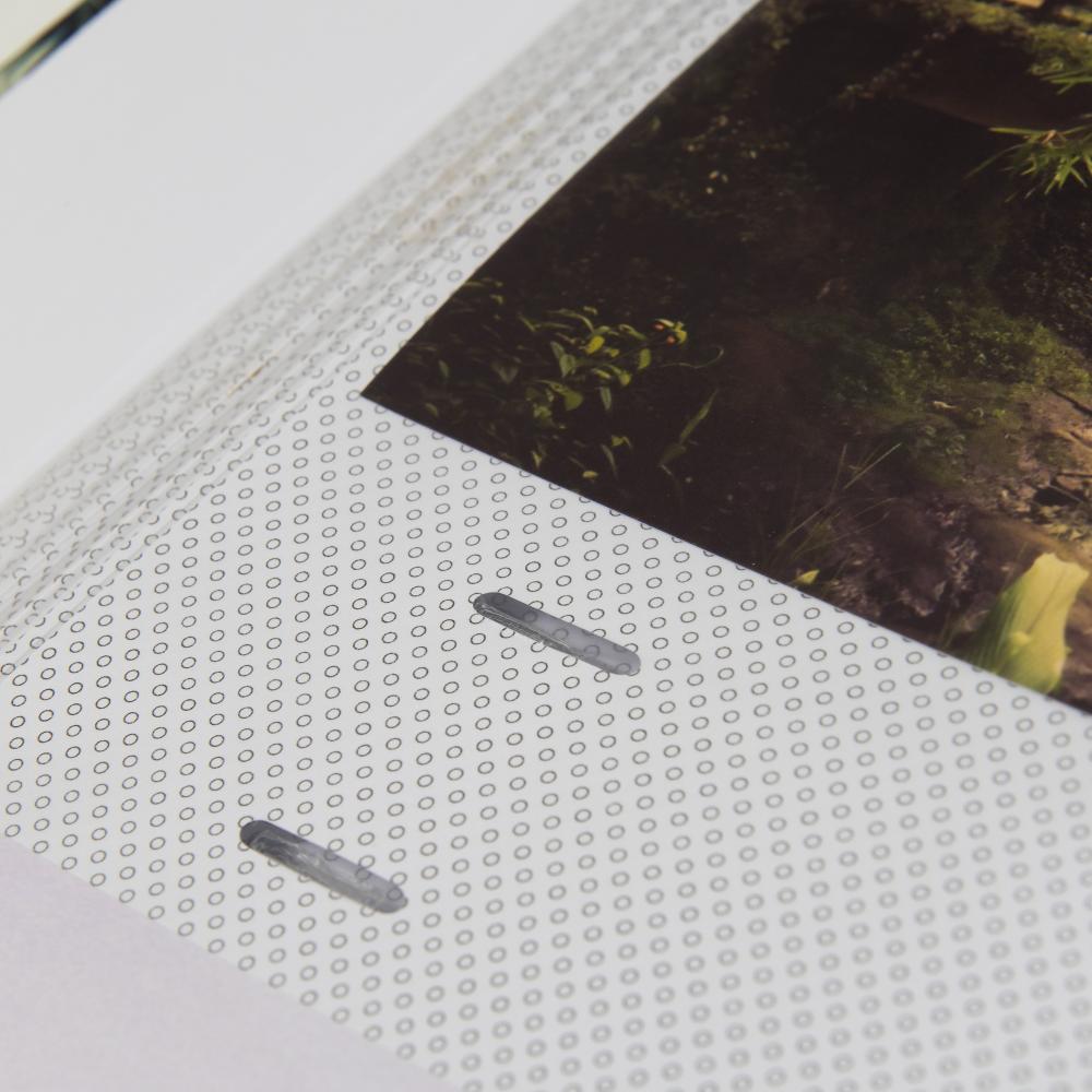 ZEP Cascais - 200 Foto's van 11x15 cm