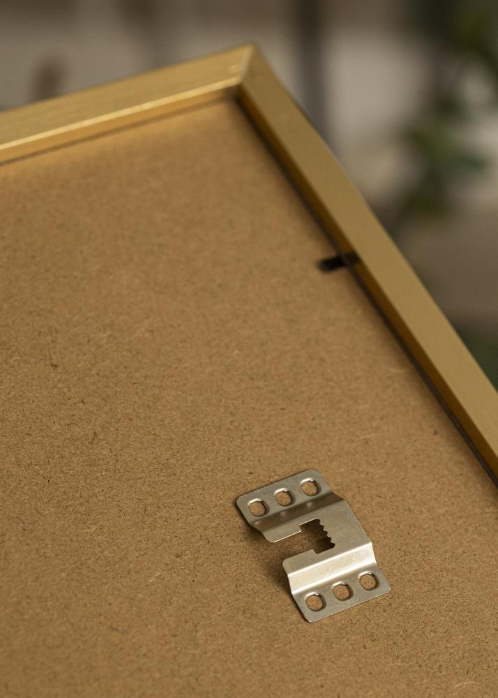 BGA Kader Selection Acrylglas Goud 30x40 cm