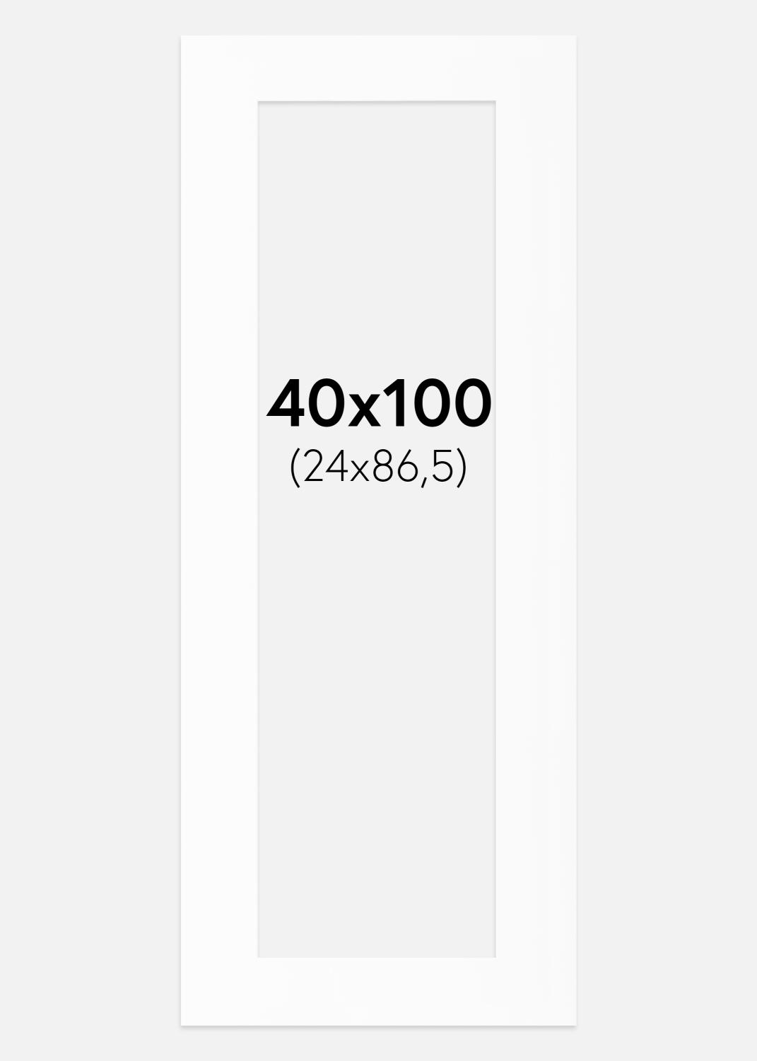 Product Image for Passe-partout Wit Standaard (Witte kern) 40x100 cm (24x86,5)