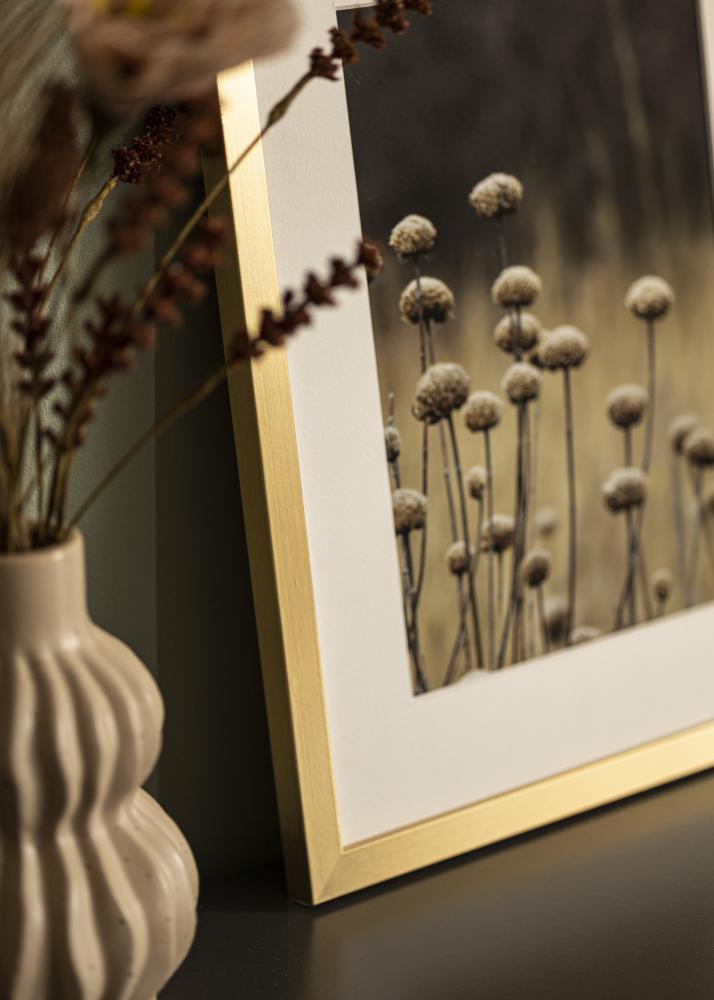 BGA Kader Selection Acrylglas Goud 30x40 cm