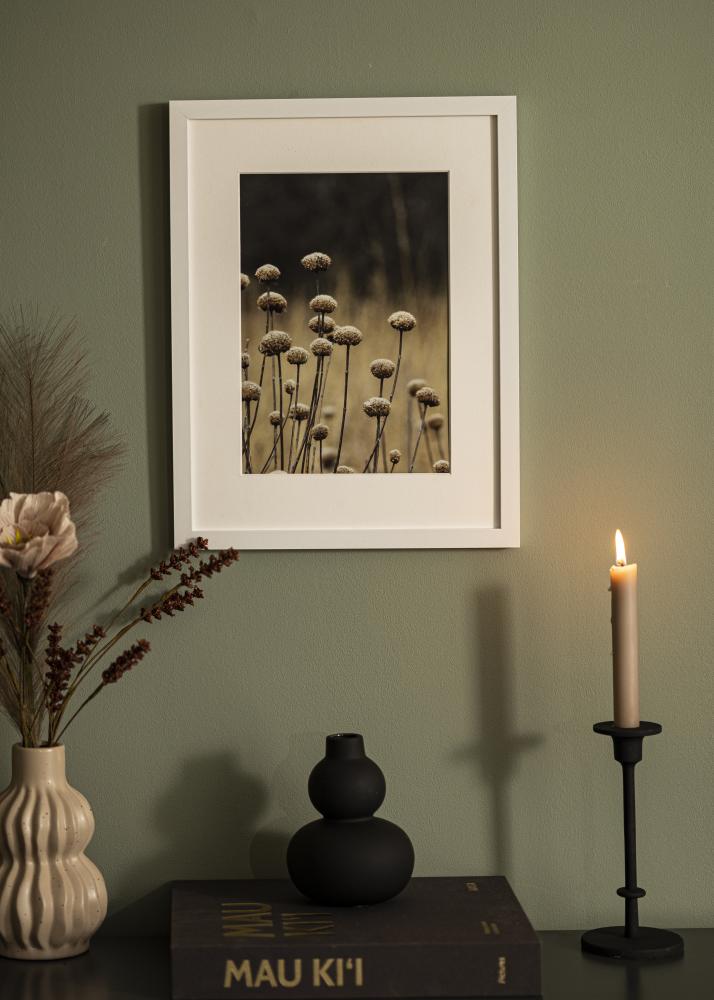 BGA Kader Selection Acrylglas Wit 32x45 cm