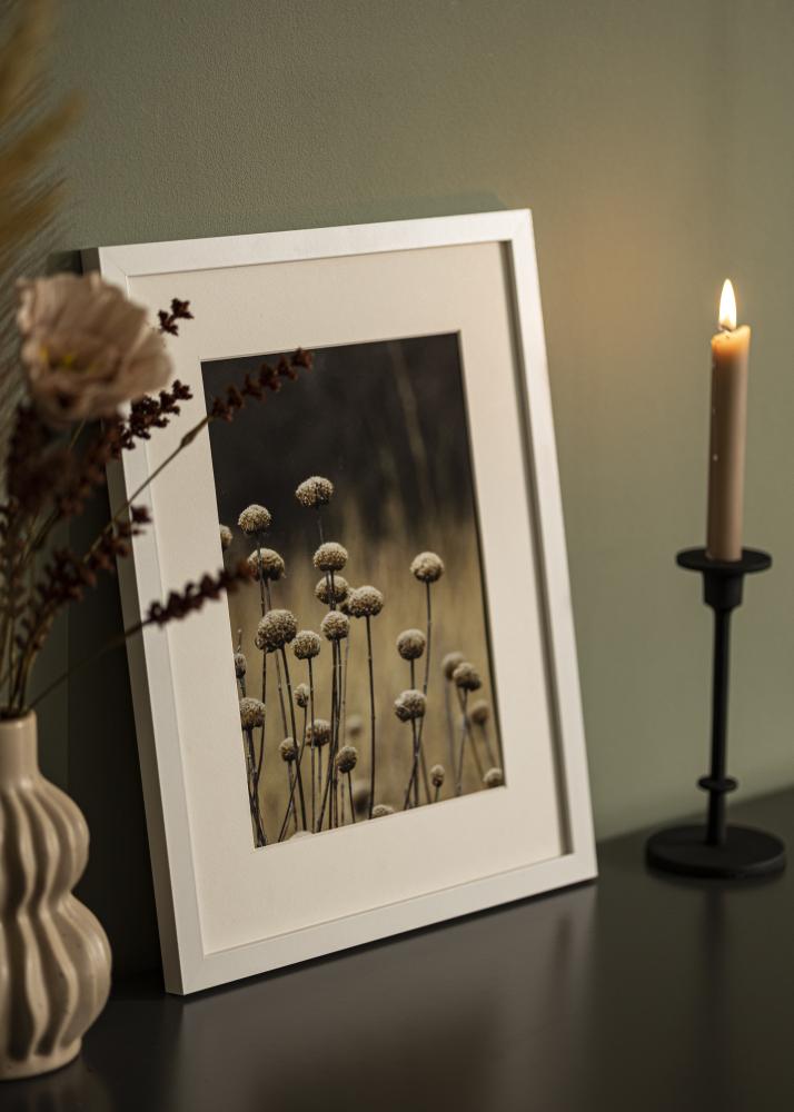 BGA Kader Selection Acrylglas Wit 32x45 cm