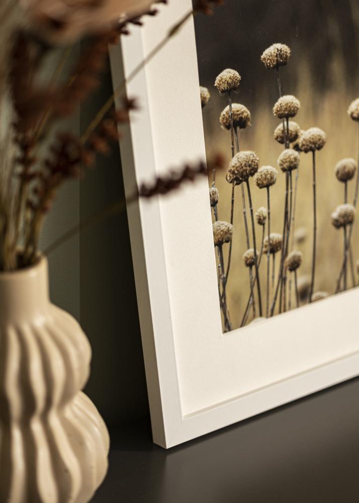 BGA Kader Selection Acrylglas Wit 32x45 cm