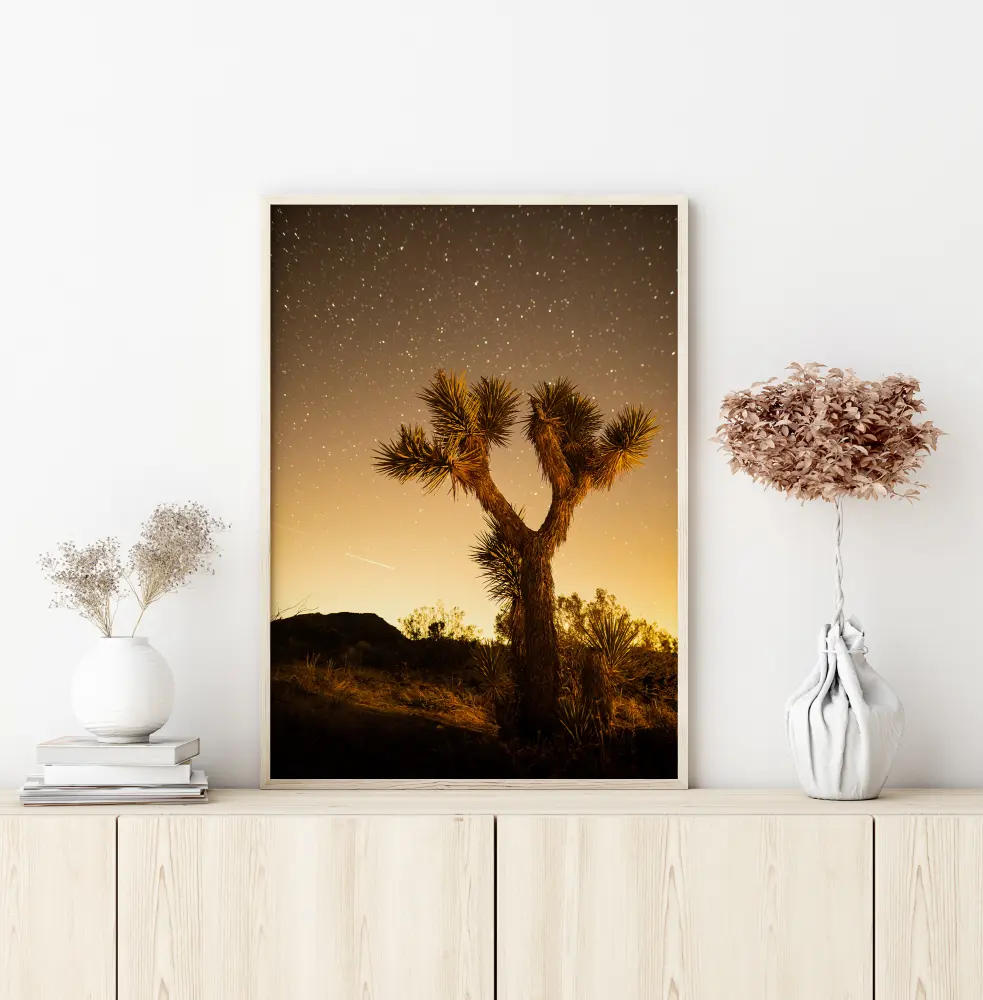 Bildverkstad Shooting Stars Poster