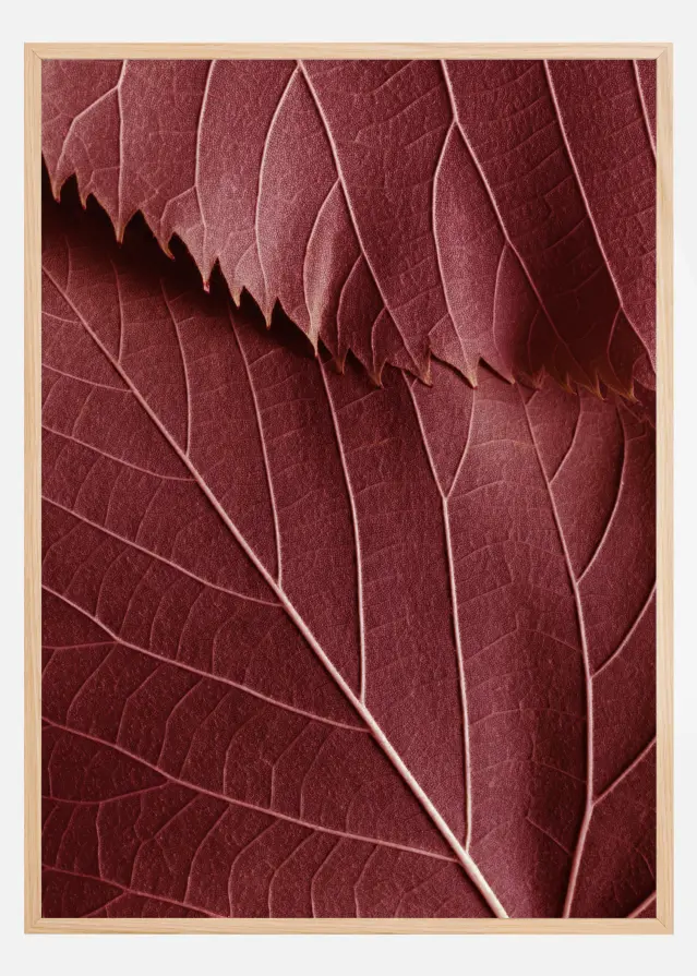 Bildverkstad Red Leaves Poster