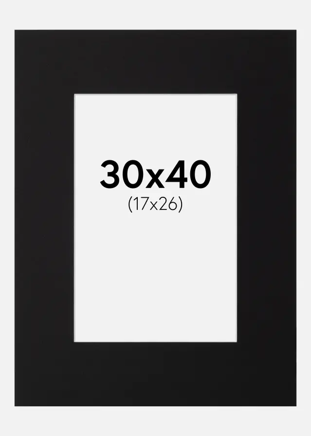 Artlink Passe-partout Zwart Standaard (Witte Kern) 30x40 cm (17x26)