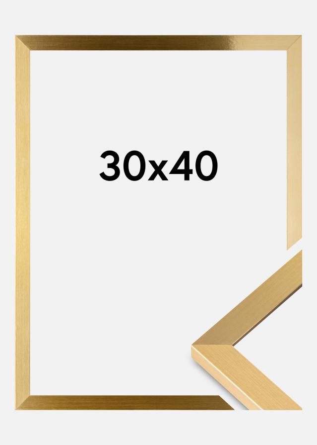 BGA Kader Selection Acrylglas Goud 30x40 cm