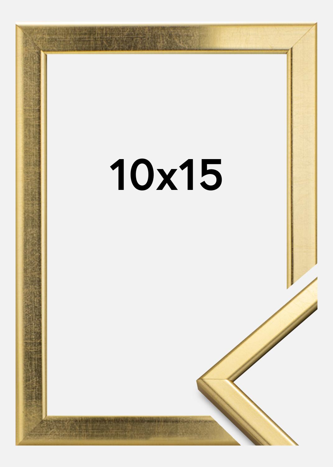 Product Image for Kader Slim Mat Ontspiegeld Glas Goud 10x15 cm