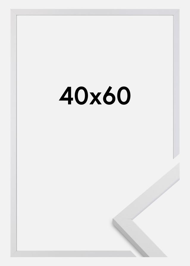 BGA Kader Trendy Acrylglas Wit 40x60 cm