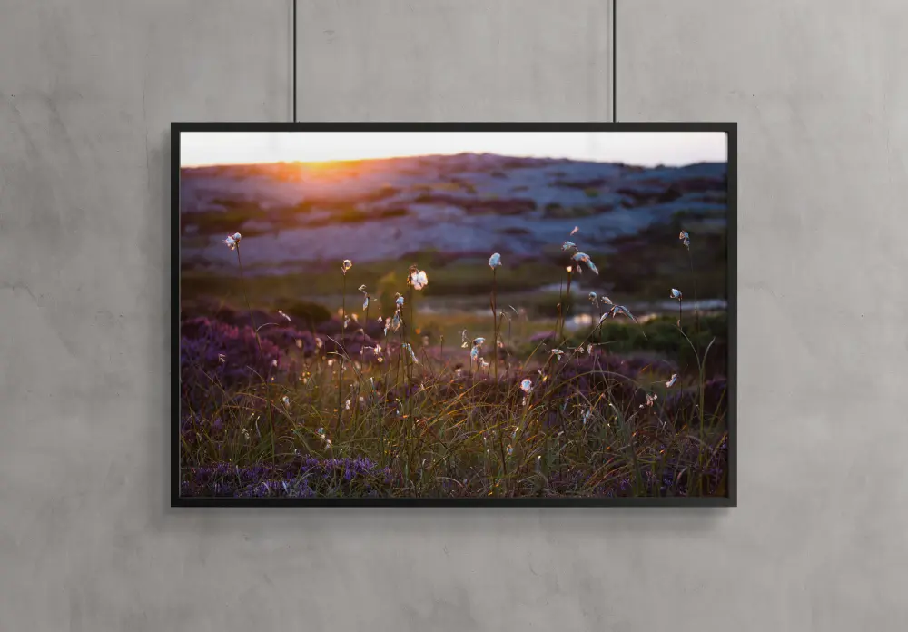 Bildverkstad Summer evening on the rocks Poster