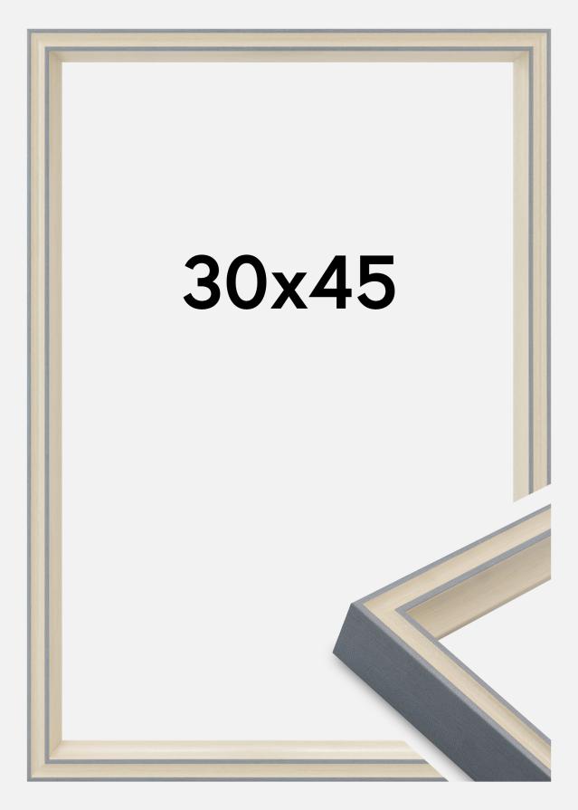 Jämtlands Ramfabrik Kader Riga Acrylglas Grijs 30x45 cm