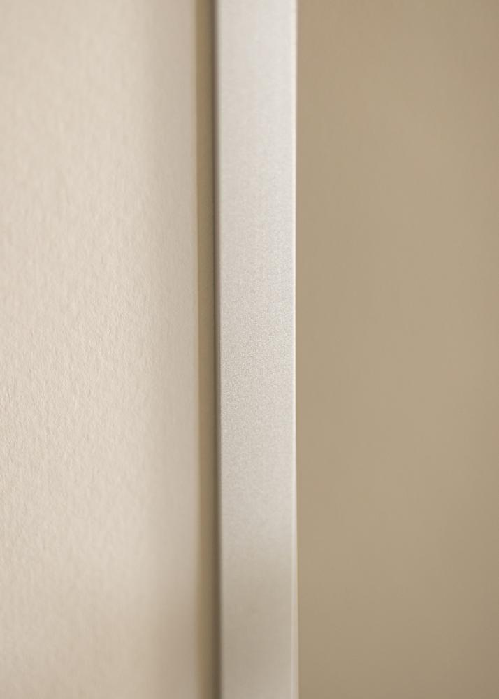 Ramverkstad Spiegel Helsingfors Zilver - Eigen afmetingen