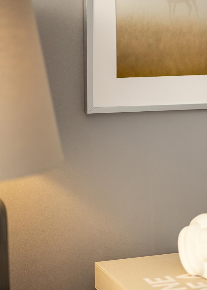 Ramverkstad Spiegel Helsingfors Zilver - Eigen afmetingen