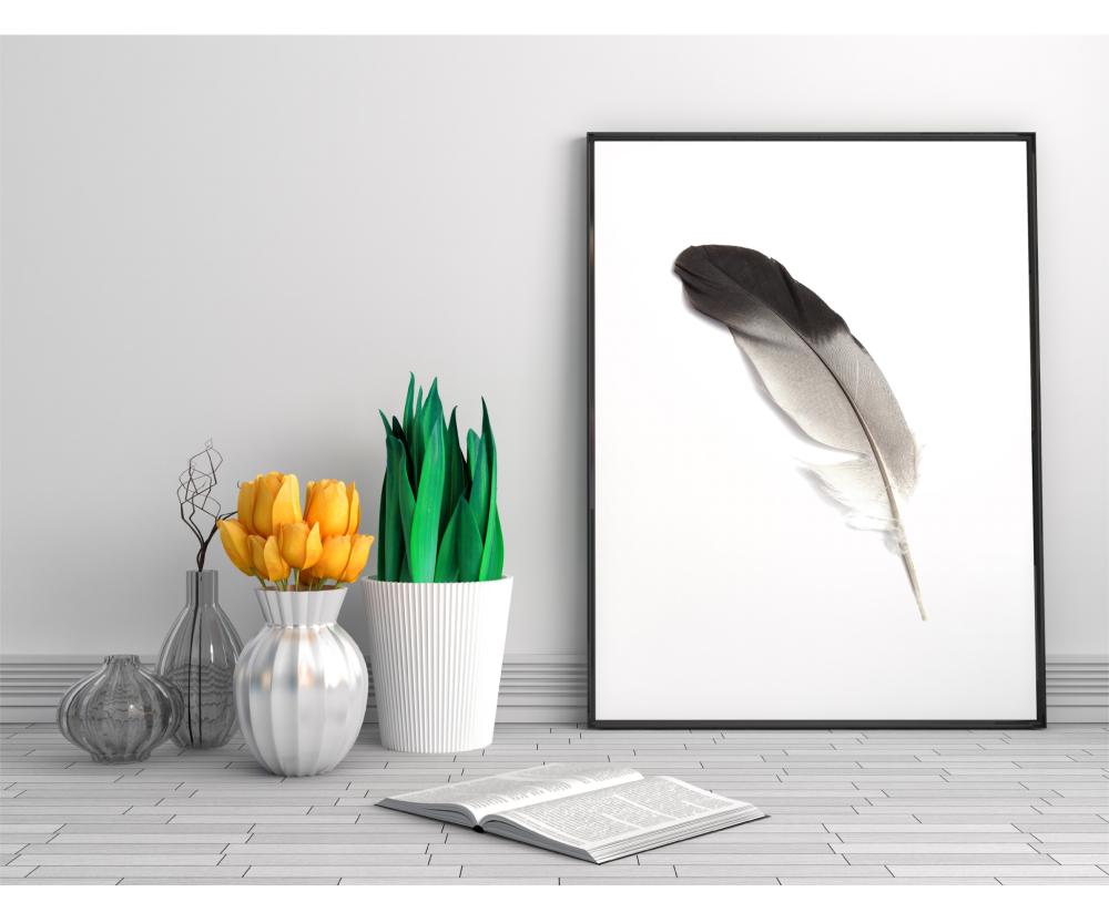 Estancia Fjäder Poster