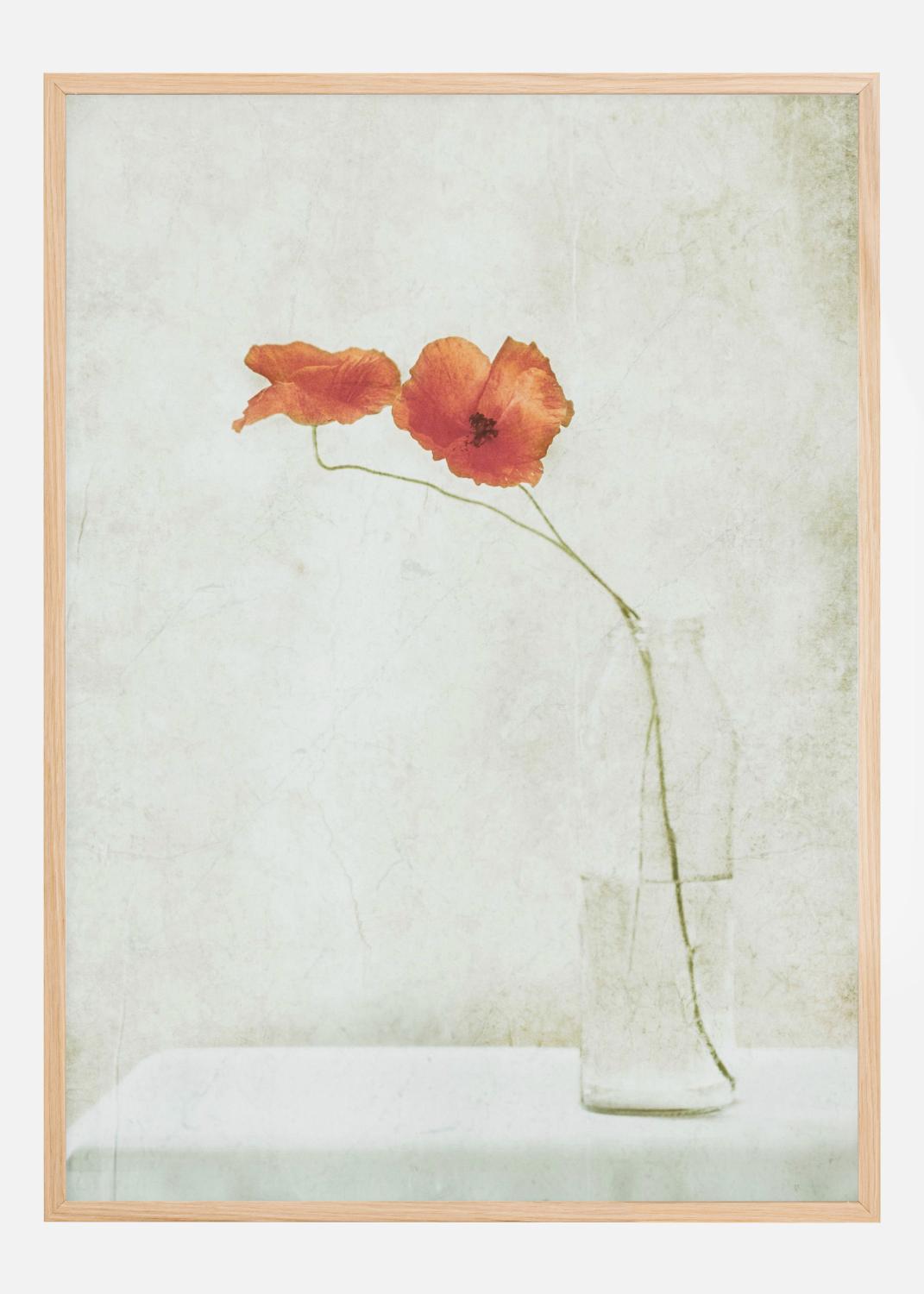 Product Image for Two Poppies In A Bottle Poster (30x40 cm)