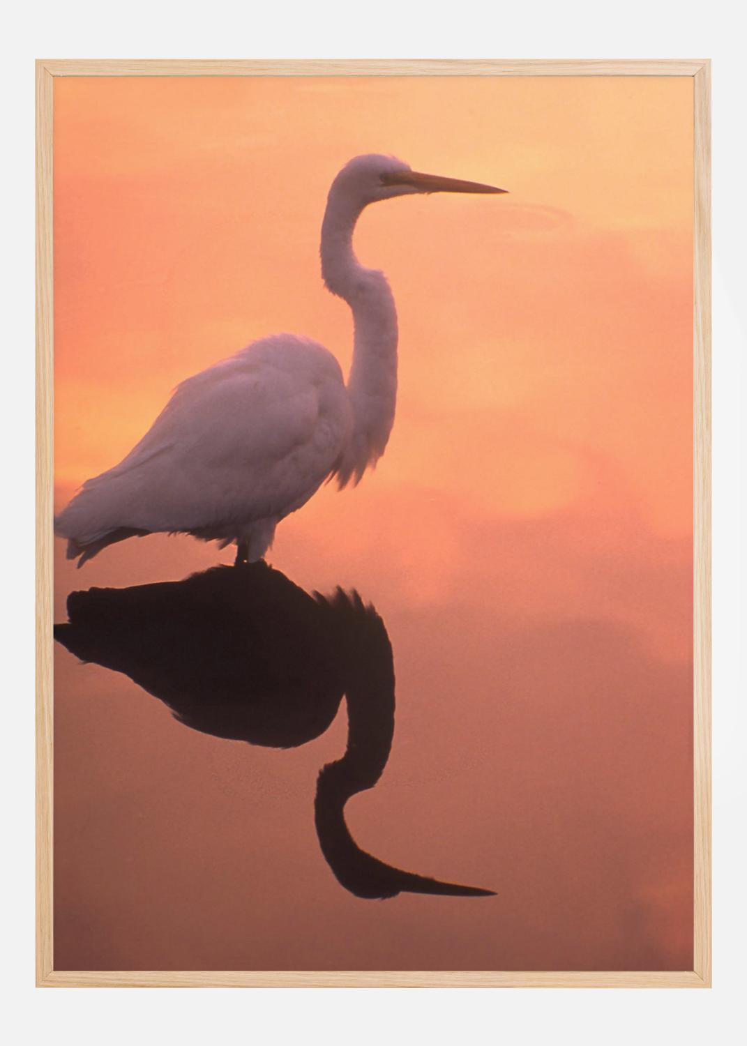 Product Image for Bird In Orange Water Poster (30x40 cm)