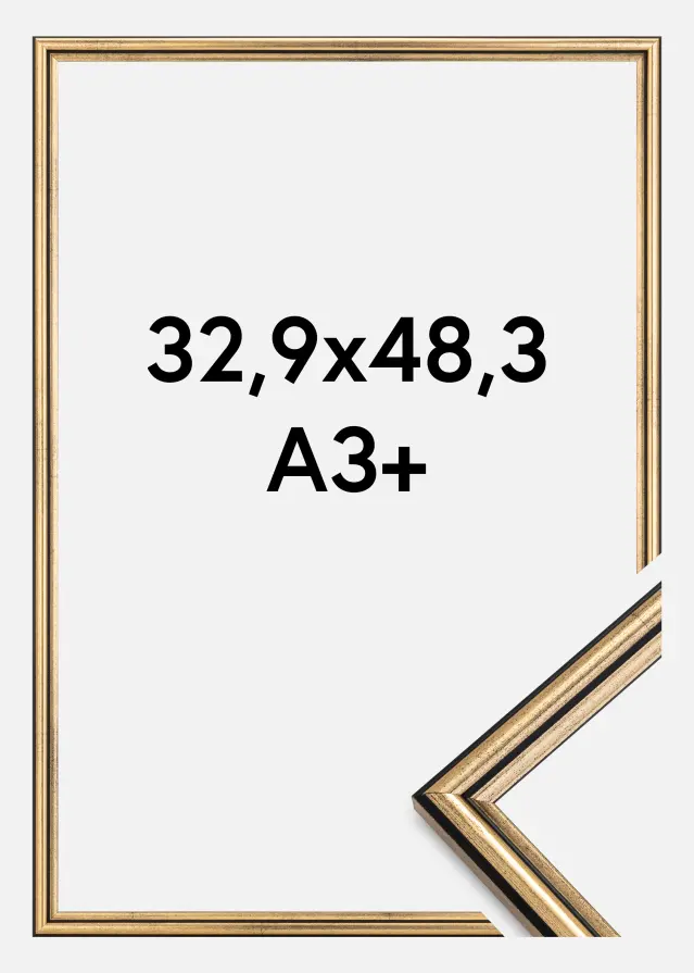 Galleri 1 Kader Horndal Acrylglas Goud 32,9x48,3 cm (A3+)