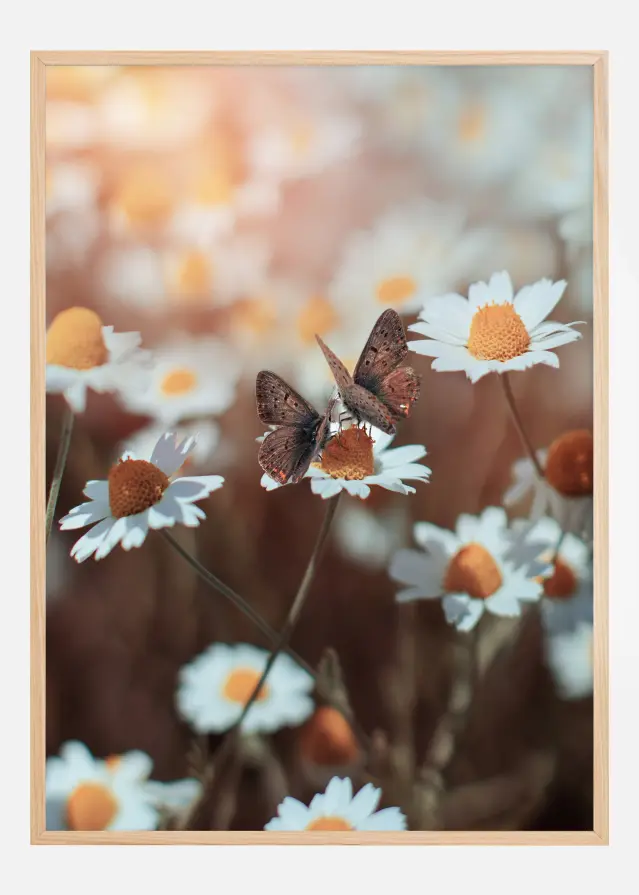 Bildverkstad Two Butterflies Poster