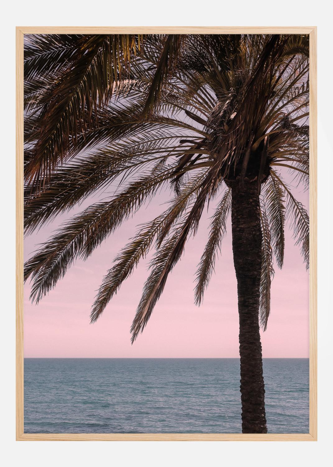 Product Image for Palm Beach I Poster (21x29.7 cm (A4))