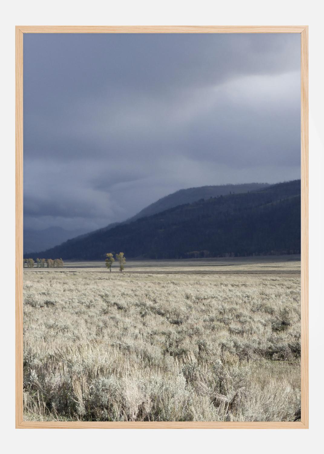 Product Image for Storm Is Coming Poster (30x40 cm)