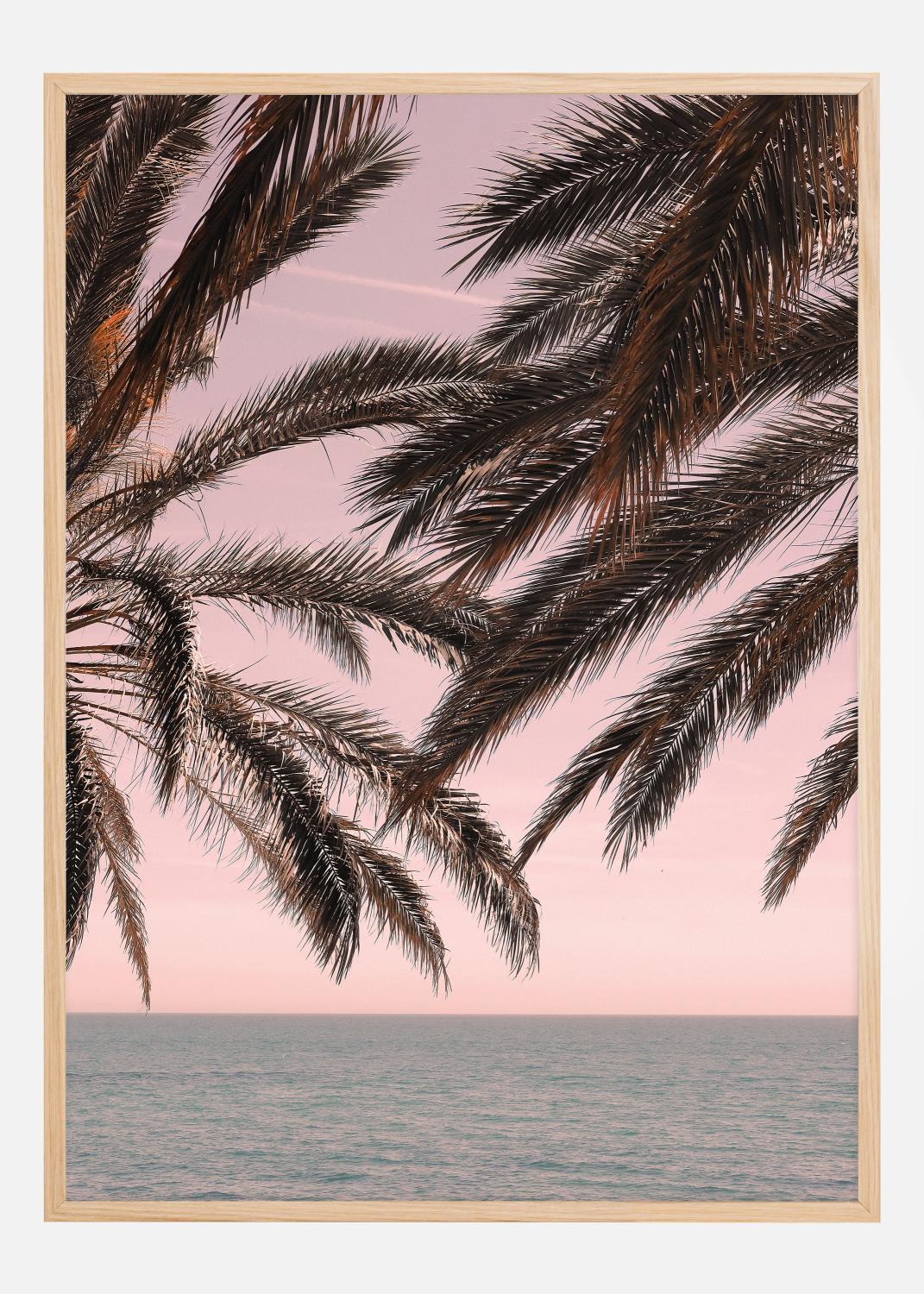 Product Image for Palm Beach III Poster (21x29.7 cm (A4))