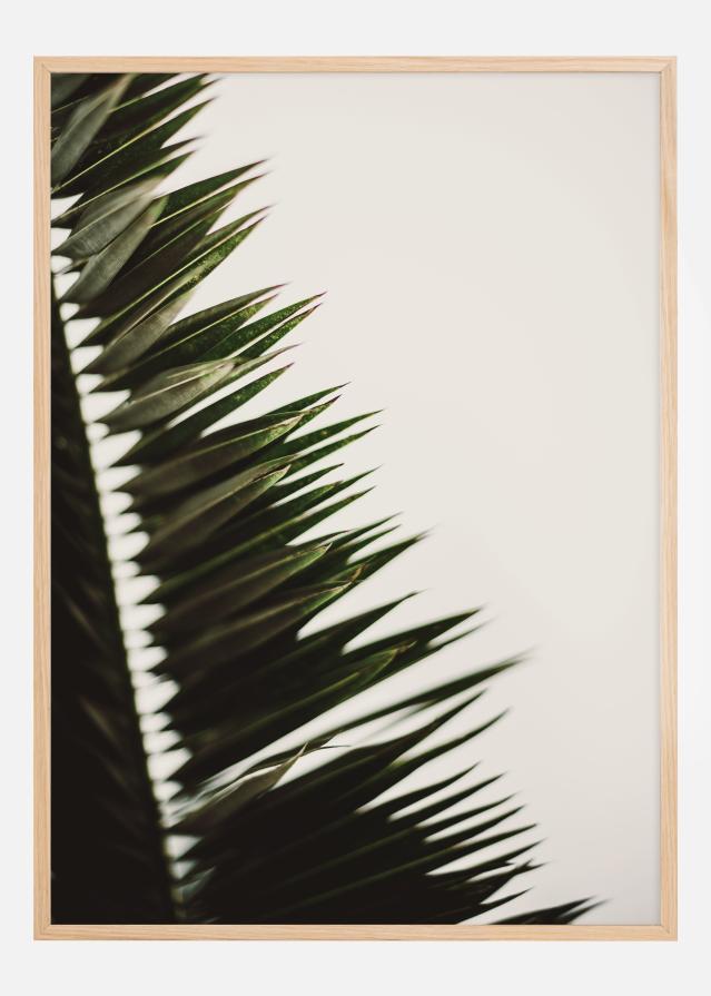 Bildverkstad Palm Branches Poster