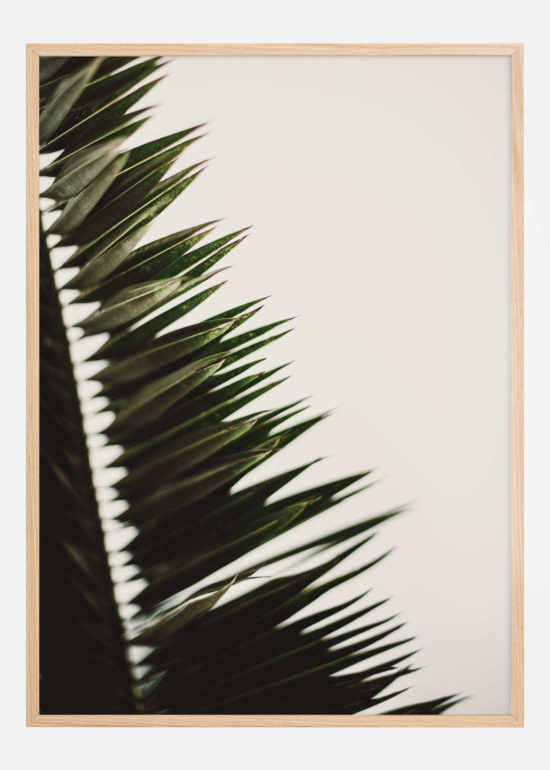 Product Image for Palm Branches Poster (21x29.7 cm (A4))