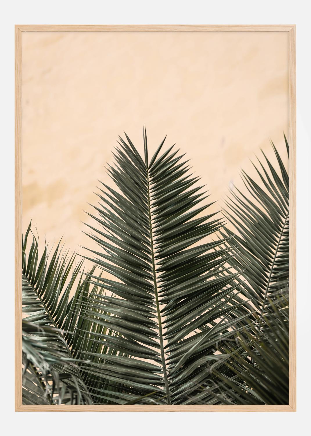 Product Image for Palm leaves and wall Poster (21x29.7 cm (A4))