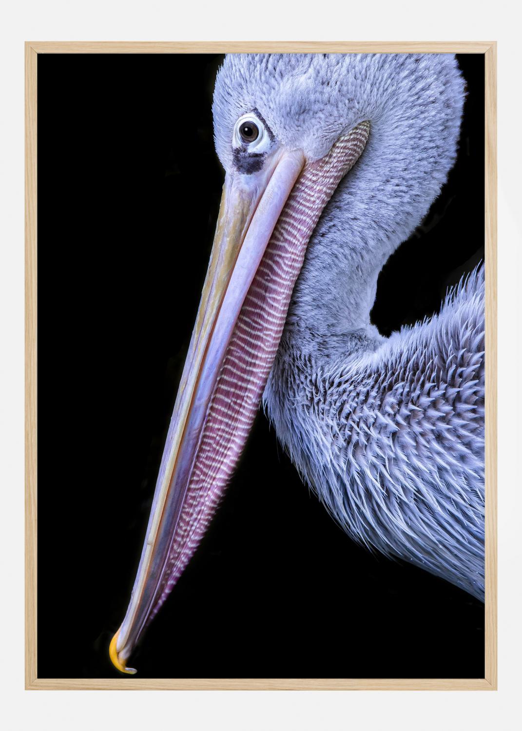 Product Image for Pelican at night Poster (30x40 cm)
