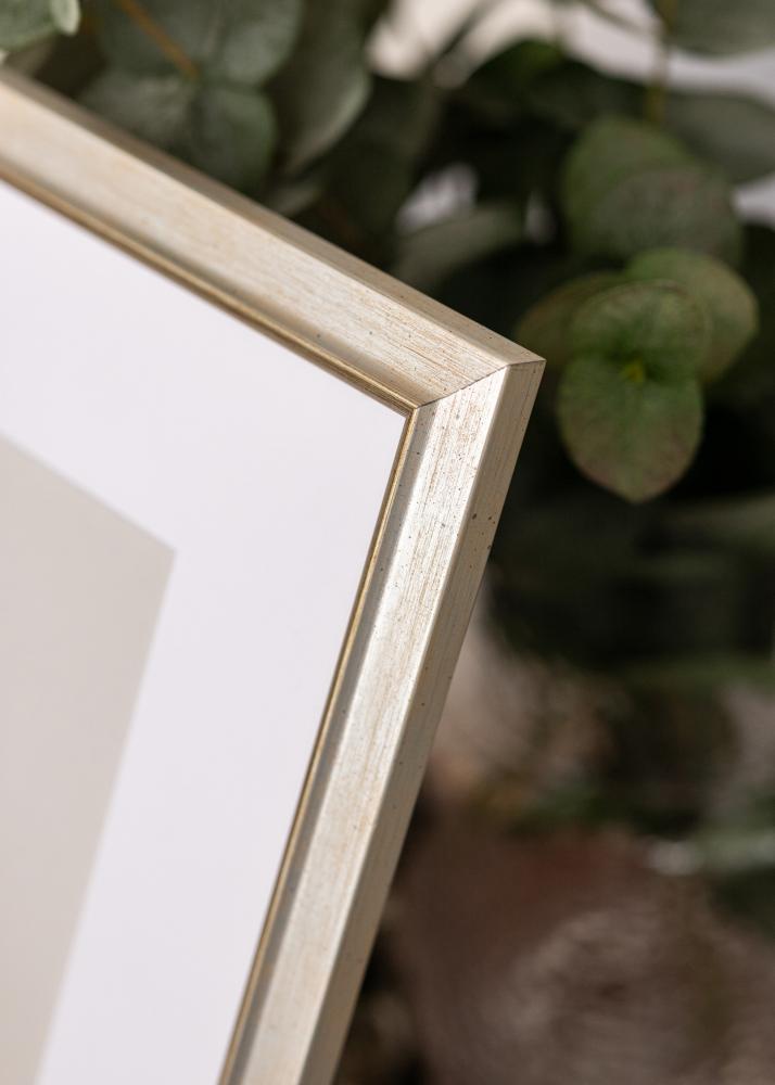 Jämtlands Ramfabrik Kader Marisa Acrylglas Zilver 20x30 cm