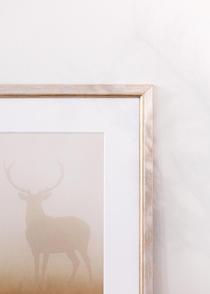 Jämtlands Ramfabrik Kader Marisa Acrylglas Zilver 20x30 cm