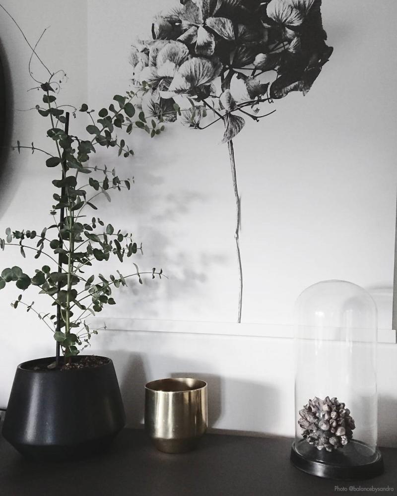 One Must Dash One Must Dash - Honey Honey - 50x70 cm Poster