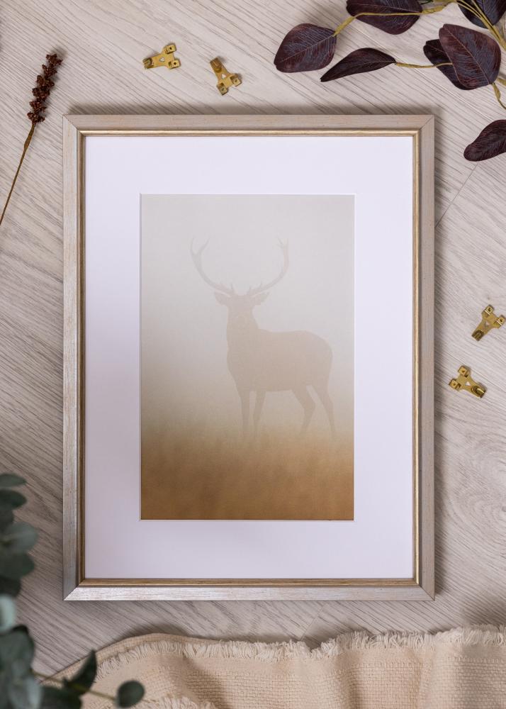 Jämtlands Ramfabrik Kader Marisa Acrylglas Zilver 20x30 cm