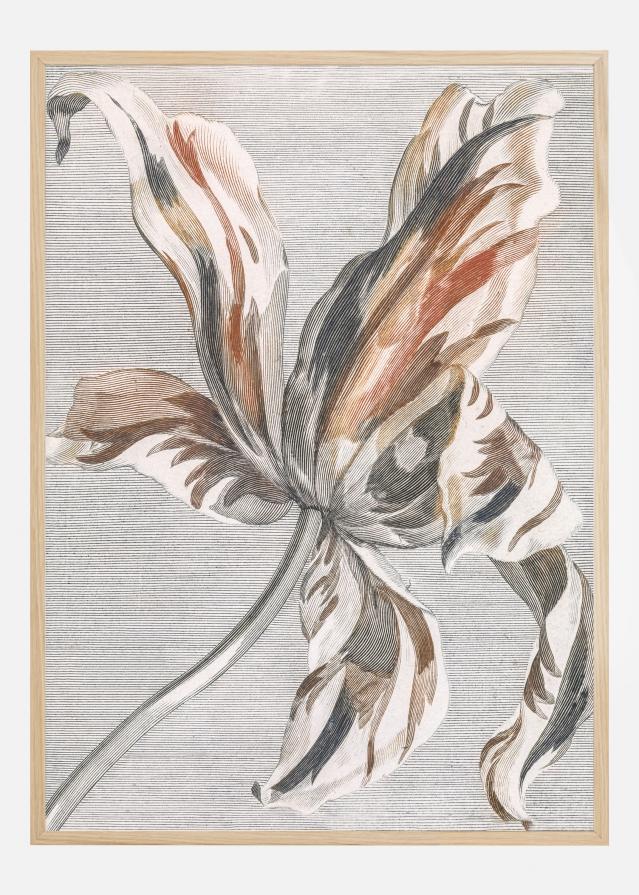 Bildverkstad Striped Flower Poster