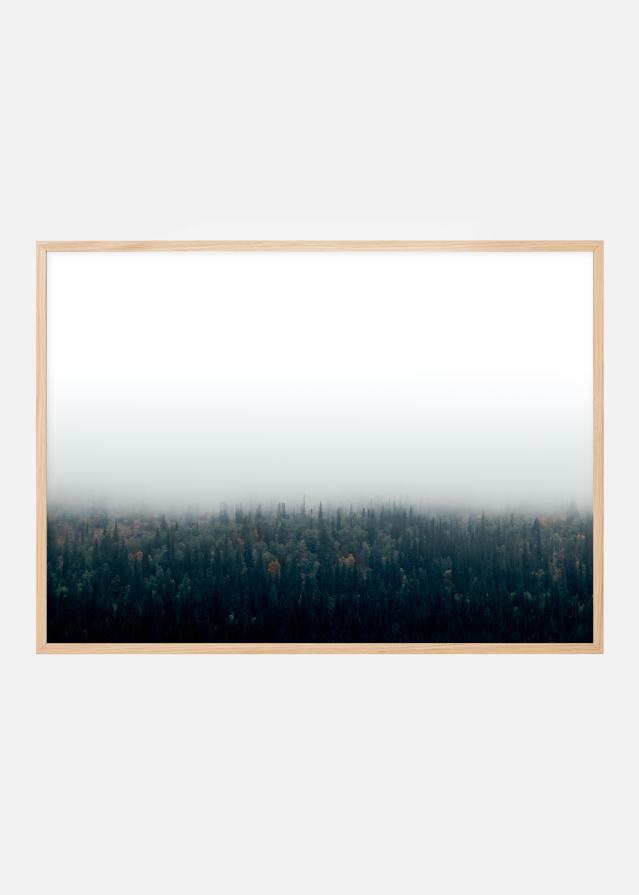 Bildverkstad Forests in fog Poster