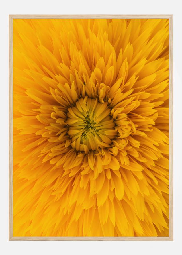 Bildverkstad Upclose Flower Poster